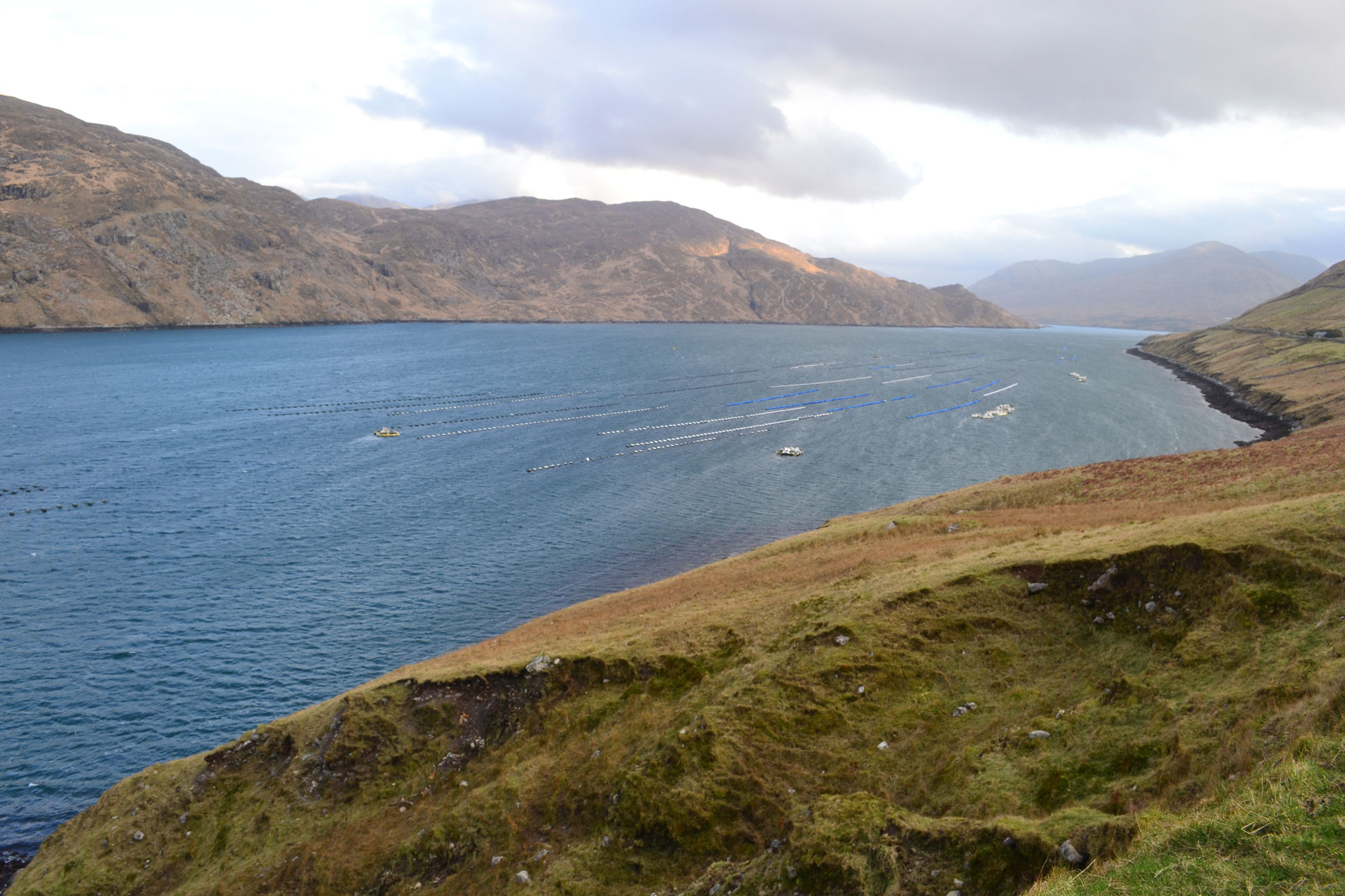 Killary Harbour TerraForm